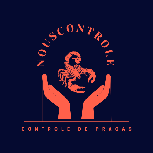 Corporativo NouScontrole